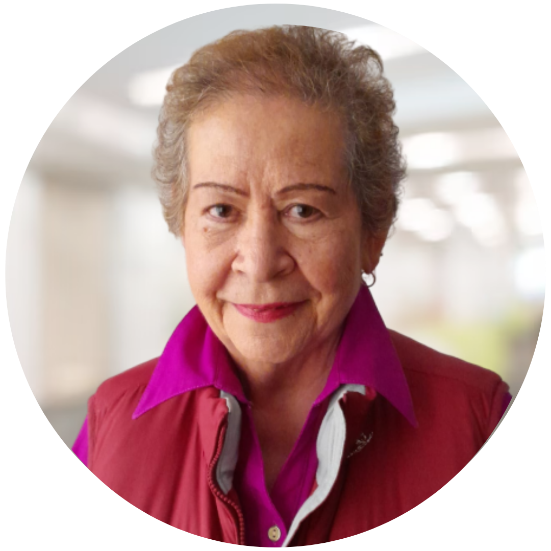 Presidente Junta de Vigilancia